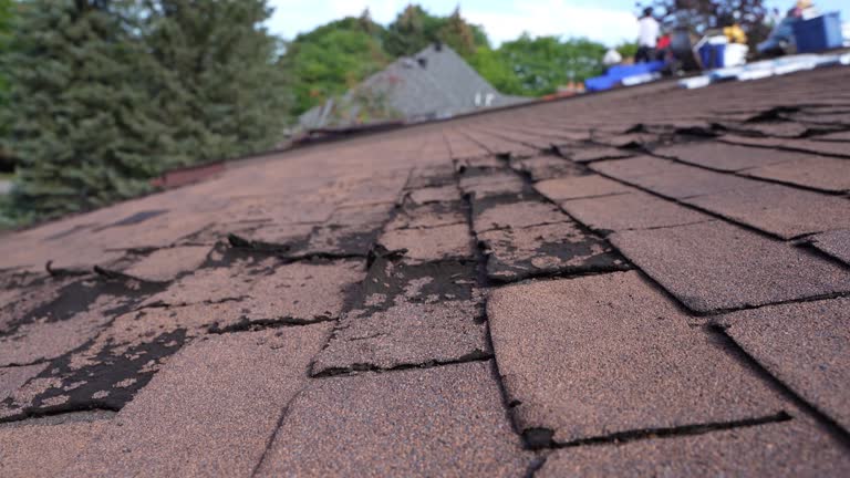 Best Tile Roofing Installation  in Llington, MI