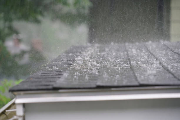Best Metal Roofing Installation  in Llington, MI